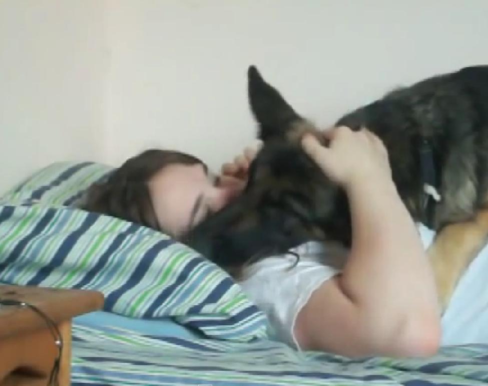 This Is Just Wonderful! German Shepherd Can’t Sleep If Her Owner Doesn’t Do The Sweetest Thing Ever!