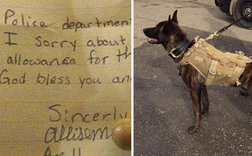 After A K9 German Shepherd Dies, Little Girl Donates Allowance To Buy Ballistic Vests For Police Pups!