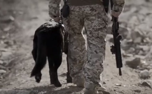 Former Navy SEAL And His Amazing German Shepherd Owe Their Lives To Each Other!