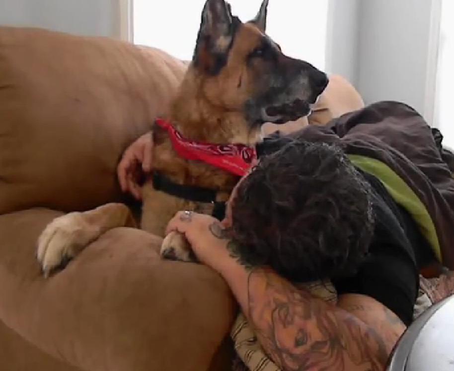 The Story Of A German Shepherd Dog Spending His Last Day With His Family Is Just Heartbreaking!