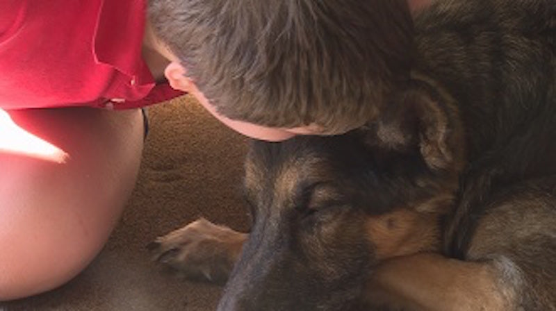 Autistic Boy Creates Artwork To Pay For His German Shepherd's Medical Bills!