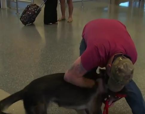 Army Dog Runs Into The Arms Of Fellow Solider During Emotional Reunion!