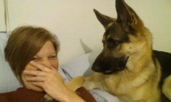 This Girl Was Just Taking Selfies With Her German Shepherd And Then He Farted!