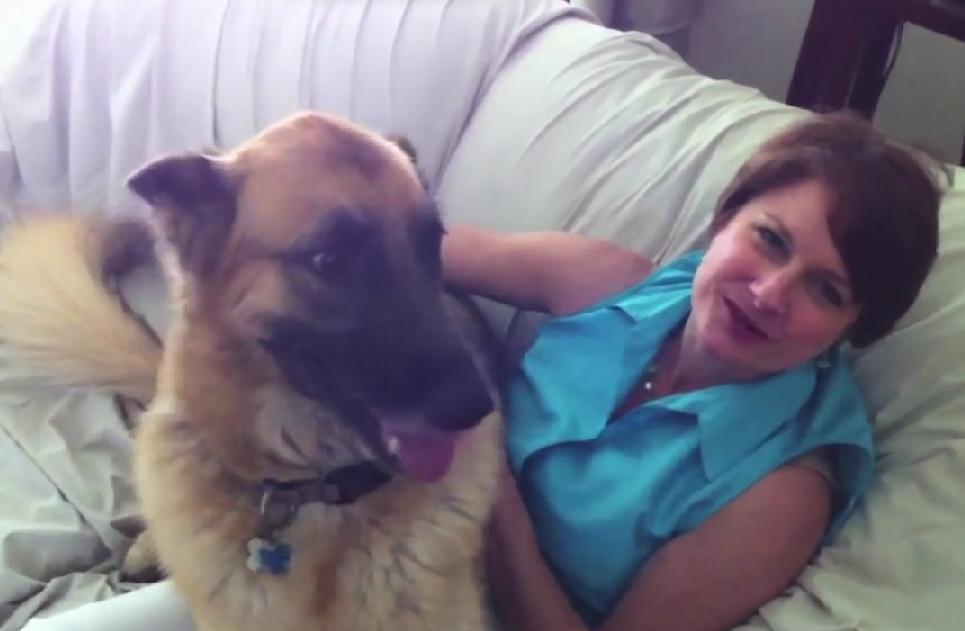 German Shepherd Priceless Reaction After One Day Reunion With His Owner!