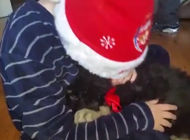 This Little Boy Got A Little German Shepherd Puppy For Christmas, After Losing His Old Dog!