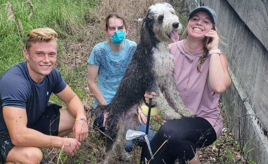 Therapy Dog Reunited With Family After Going Missing Over The Weekend