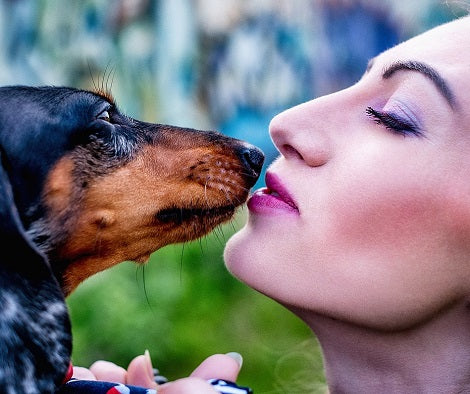 15 Ways Dogs Teach Us To Be Good Human Beings! (Part 1)