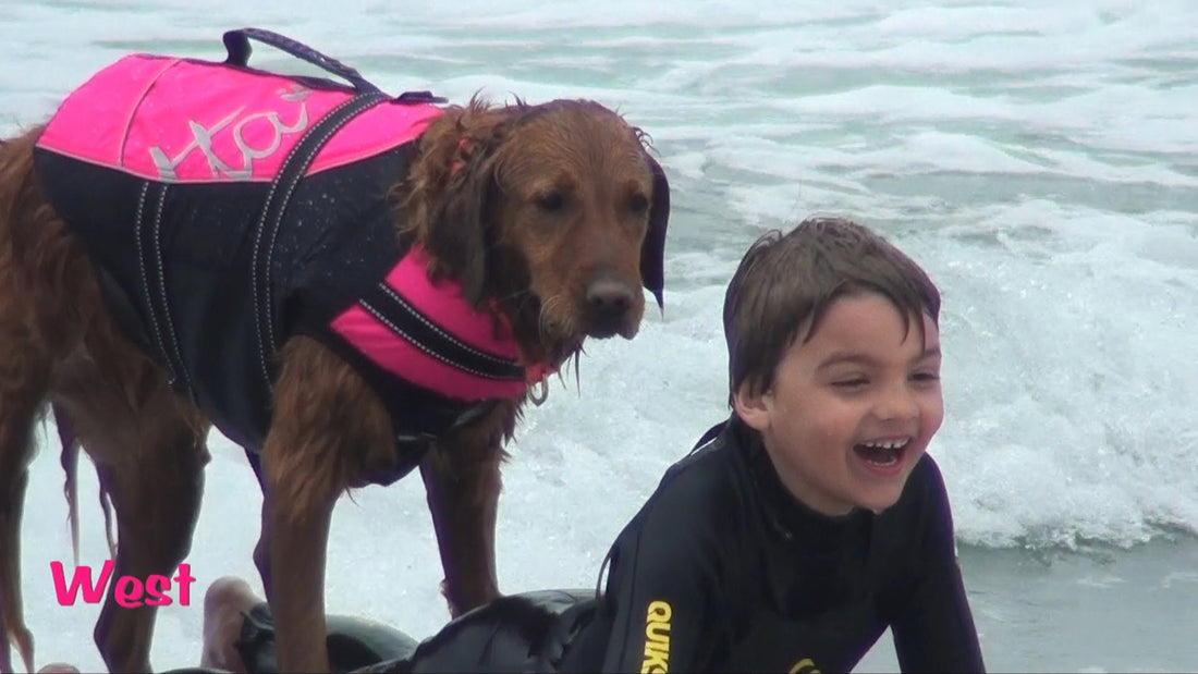 These Kids Want To Surf, But They Cant, Until Now! Kudos To The Golden Retriever! #HappinessAlert