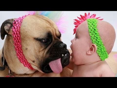 These People Put Their Babies and Dogs Together And This Is What Happened!