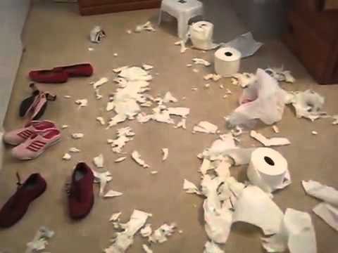 They Got Back From Church. Their Pet Dachshund Had A Big Surprise For Them! #HyperActiveDog!