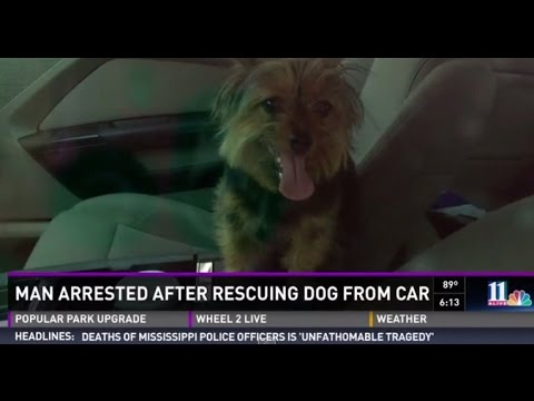 This Army Veteran Was Arrested After Saving A Dog From A Hot Car. We Say He's A Hero!