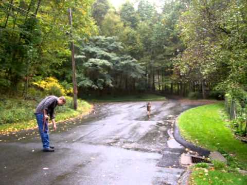 This German Shepherd Drops The Stick With A Twist! #GotTheMovesLikeJaguar!