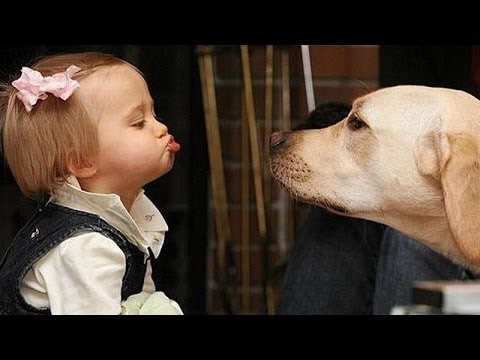 This Is All The Proof You Need That Dogs Are A Kid's Best Friend!