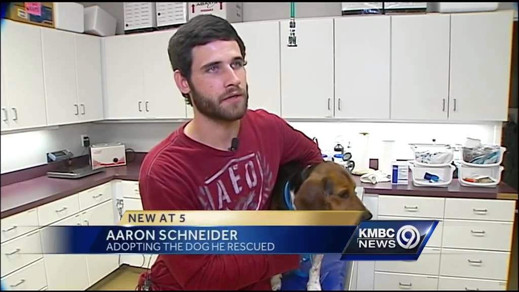War Veteran Adopts The Beagle He Risked His Life To Rescue!