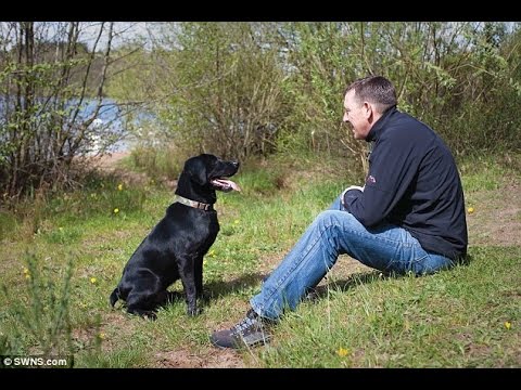 War Veteran Finds The Most Beautiful Way To Remember His Labrador Pup