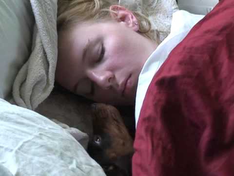 Watch How This Dachshund Pup Wakes Up Her Mommy! This Is Super ADORABLE!