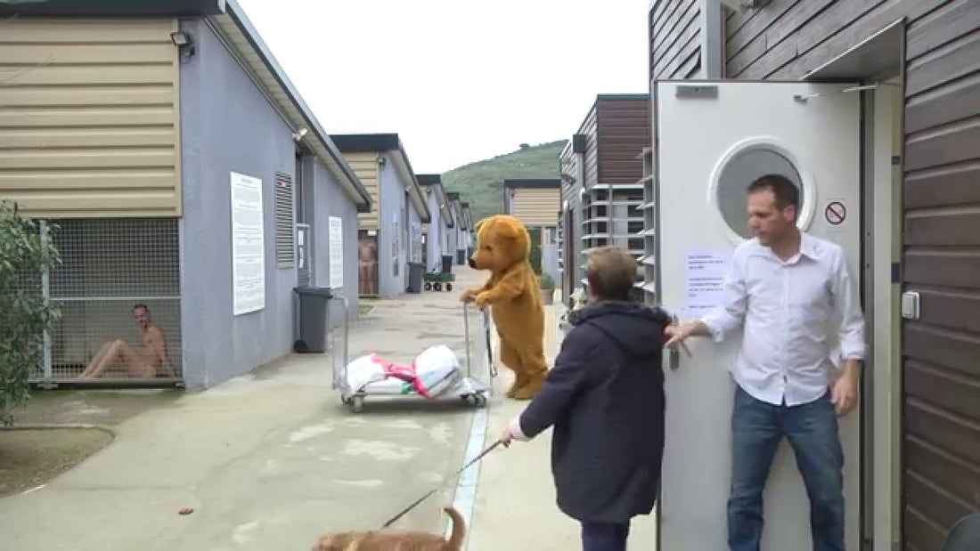 Woman Is About To Drop A Dog Off At The Shelter, Then She Saw THIS