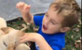 These Labrador Pups Show You What True Puppy Love Is All About! #AShotOfCuteness!
