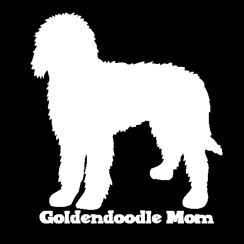 Breed: Goldendoodle