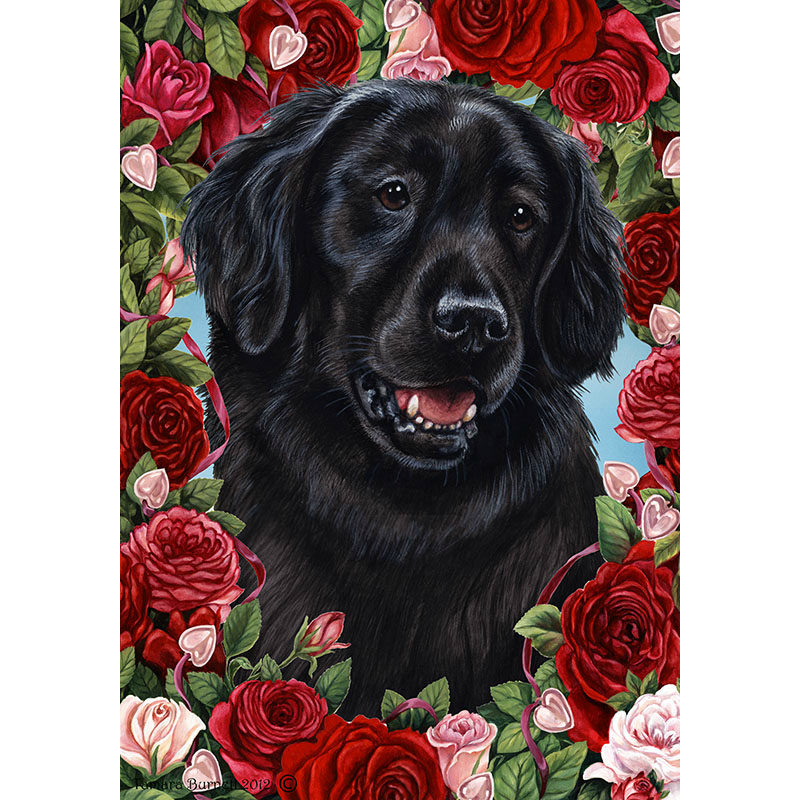 Breed: Flat Coated Retriever