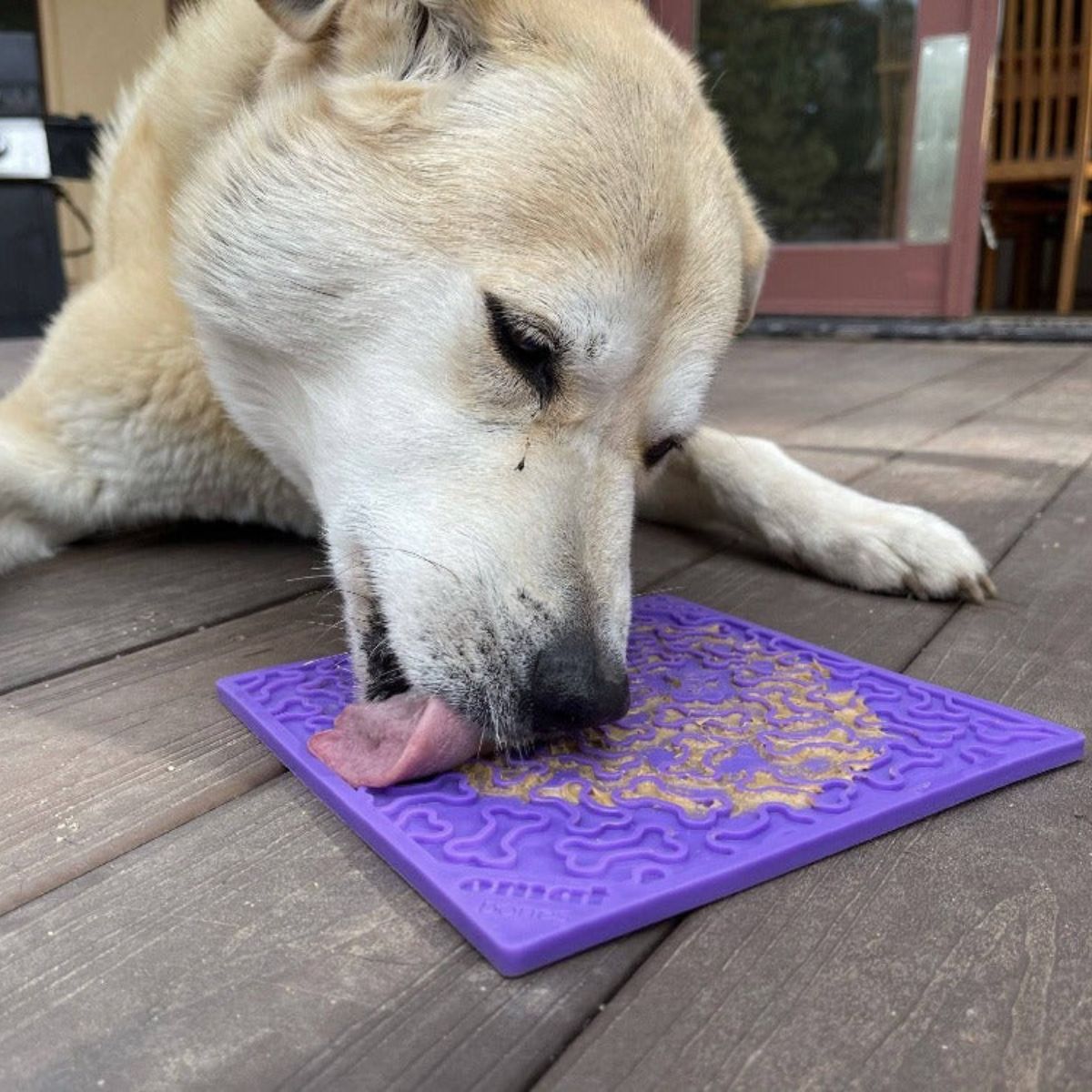 Dog Bone Enrichment Lick Mat