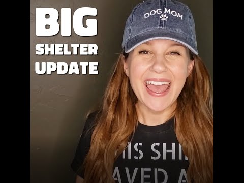 URGENT: Save A Shelter Dog